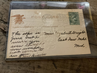 1907 Jamestown Exposition Embossed “Flyer” Train Postcard