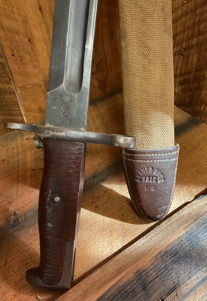 Exceptional M1905 Bayonet and M1910 Scabbard