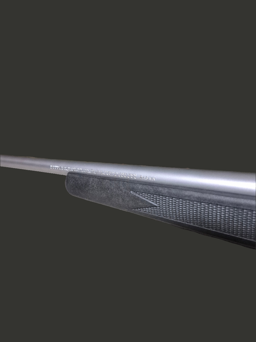 Remington 700 BDL SS .243