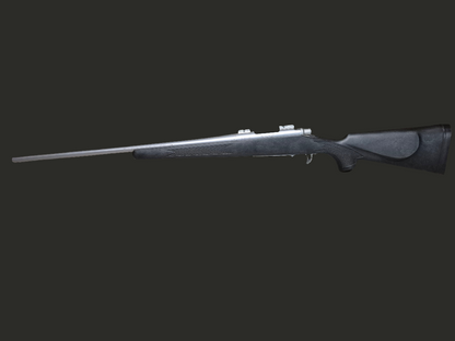 Remington 700 BDL SS .243