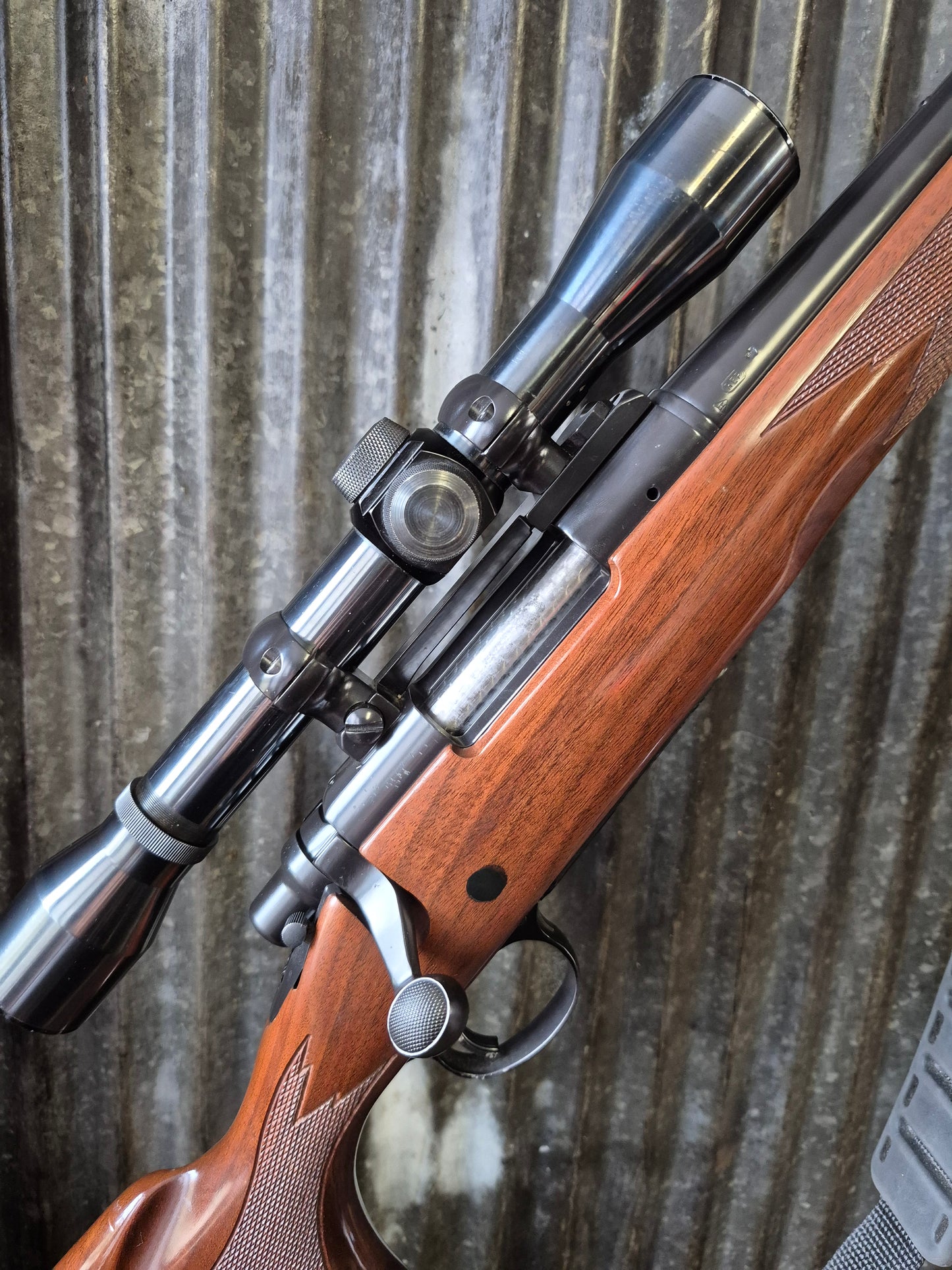 Remington 700bdl .243