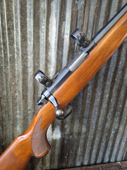 Ruger M77/22 .22lr