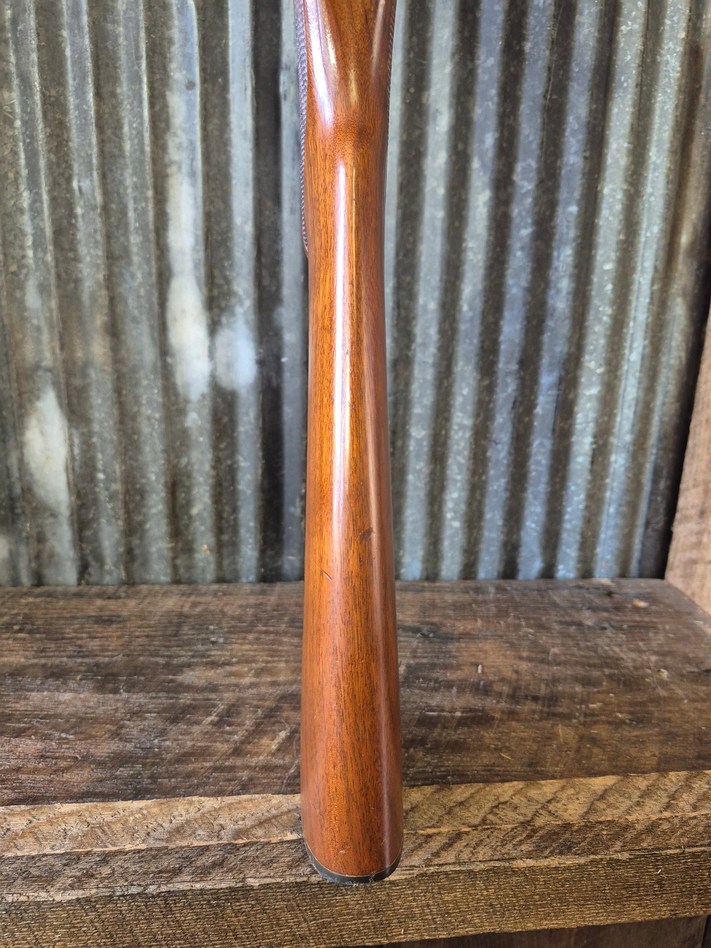 Ruger M77/22 .22lr