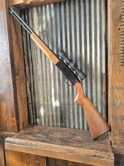 Winchester model 190 .22lr