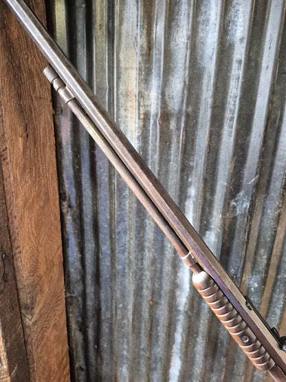 Winchester Model 90 .22 short.