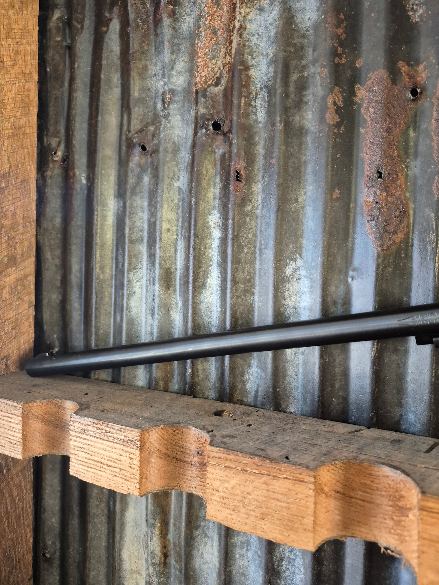 Heritage Rough Rider Buntline 22wmr