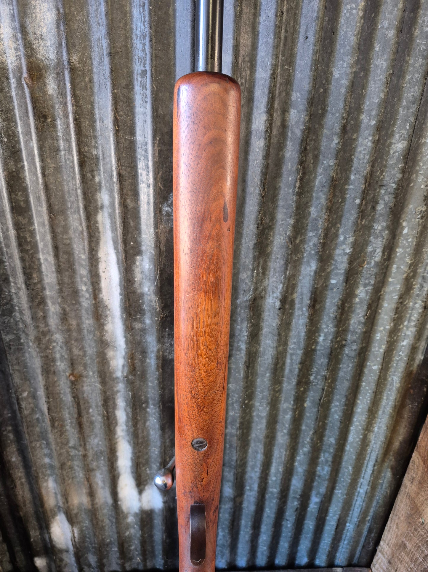Winchester model 67