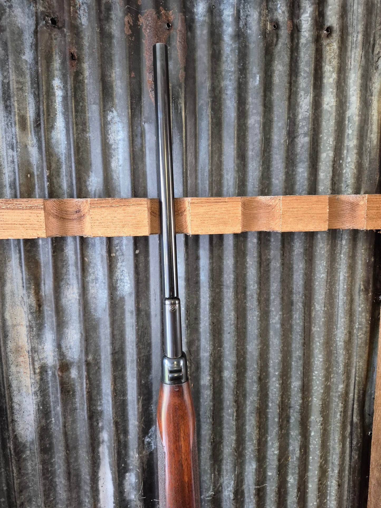 Winchester Model 71 Deluxe with Redfield rear peep sight.