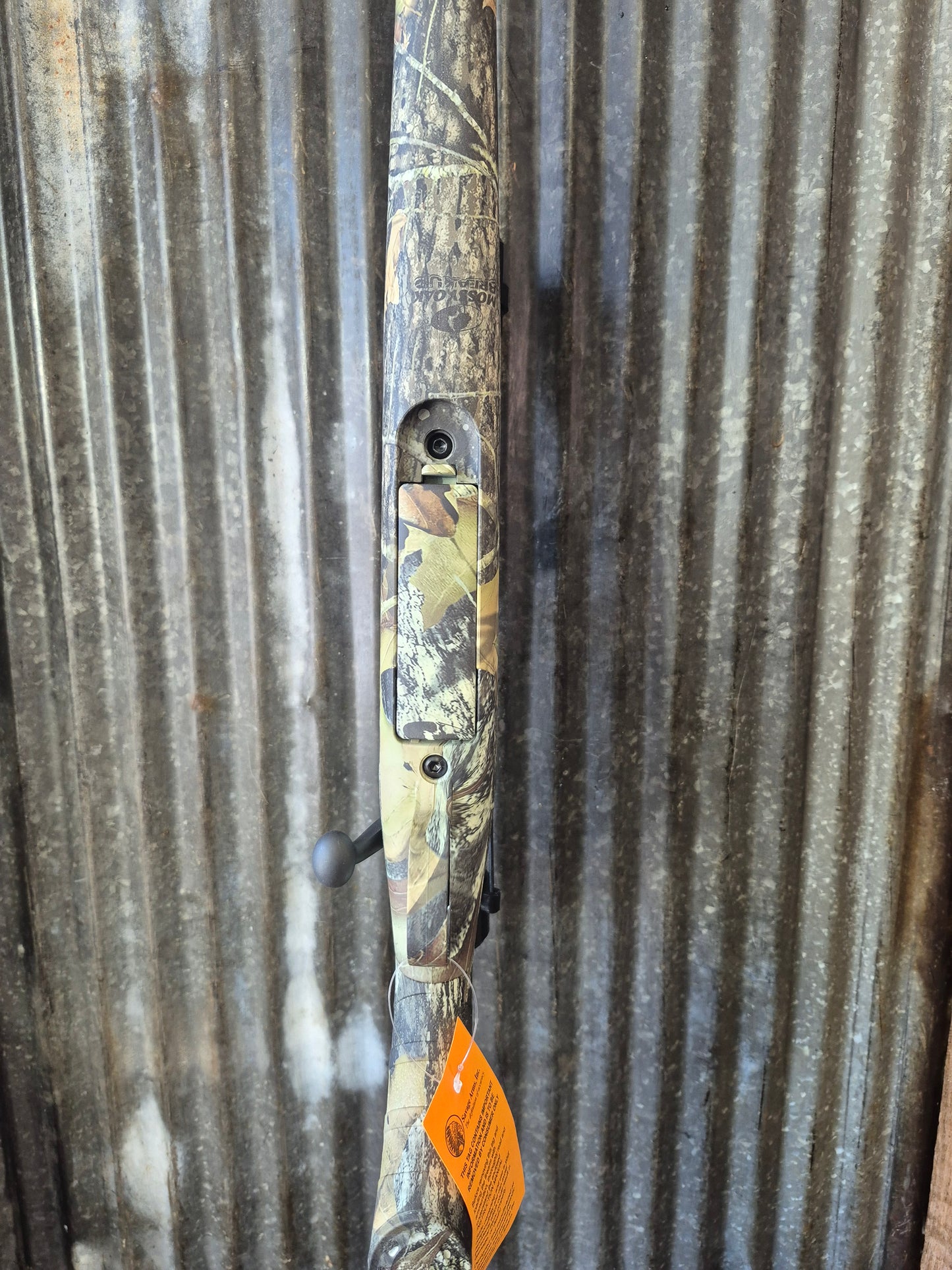 Savage Axis 30-06