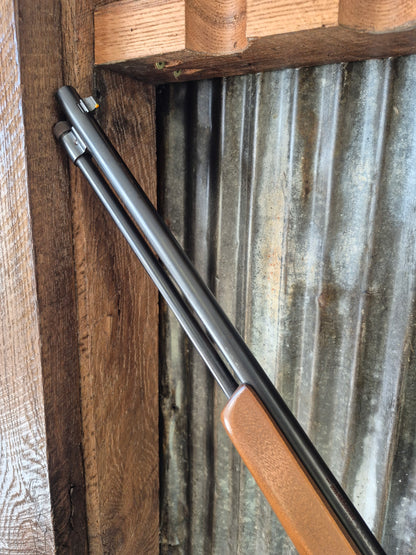 Winchester model 190 .22lr