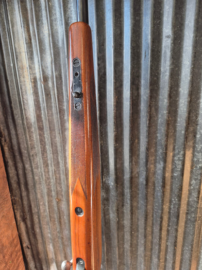 Remington 700adl .22-250