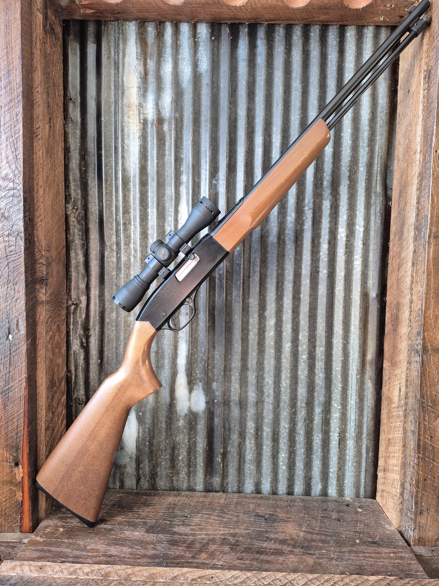 Winchester model 190 .22lr