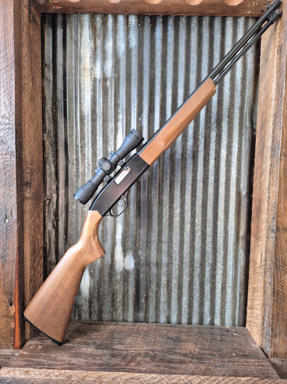 Winchester model 190 .22lr