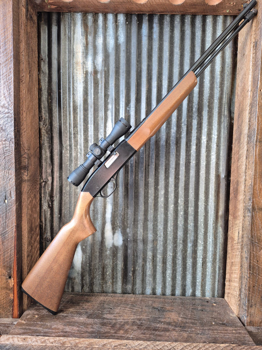 Winchester model 190 .22lr