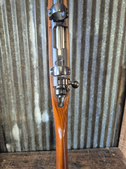 Ruger M77/22 .22lr