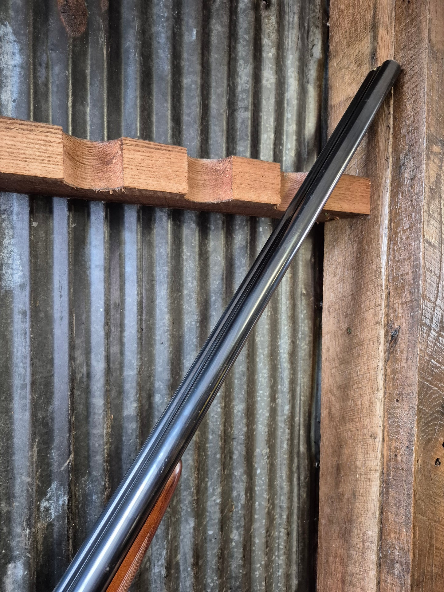 Kestrel 12ga