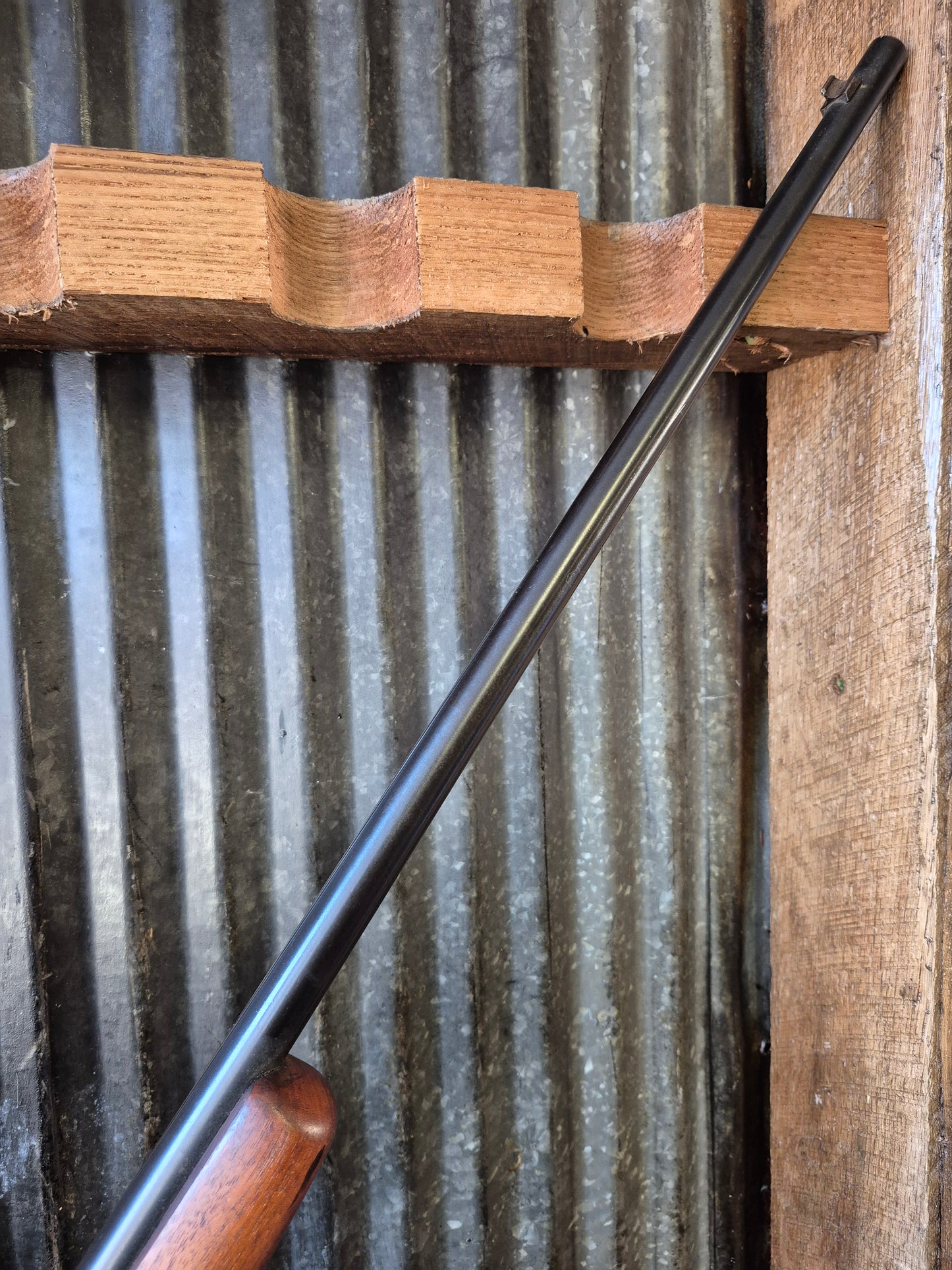 Winchester model 67