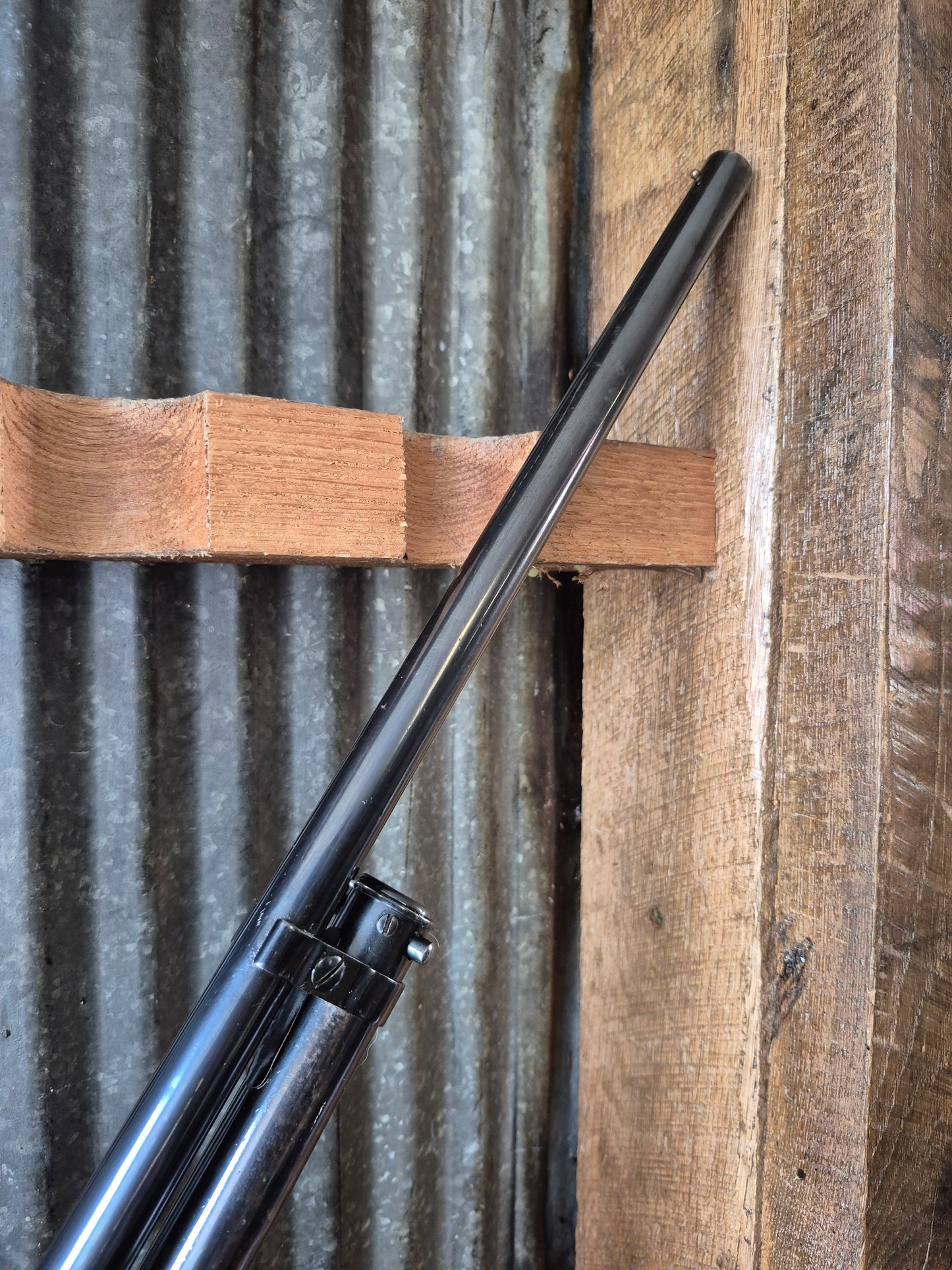 Winchester model 12 20ga