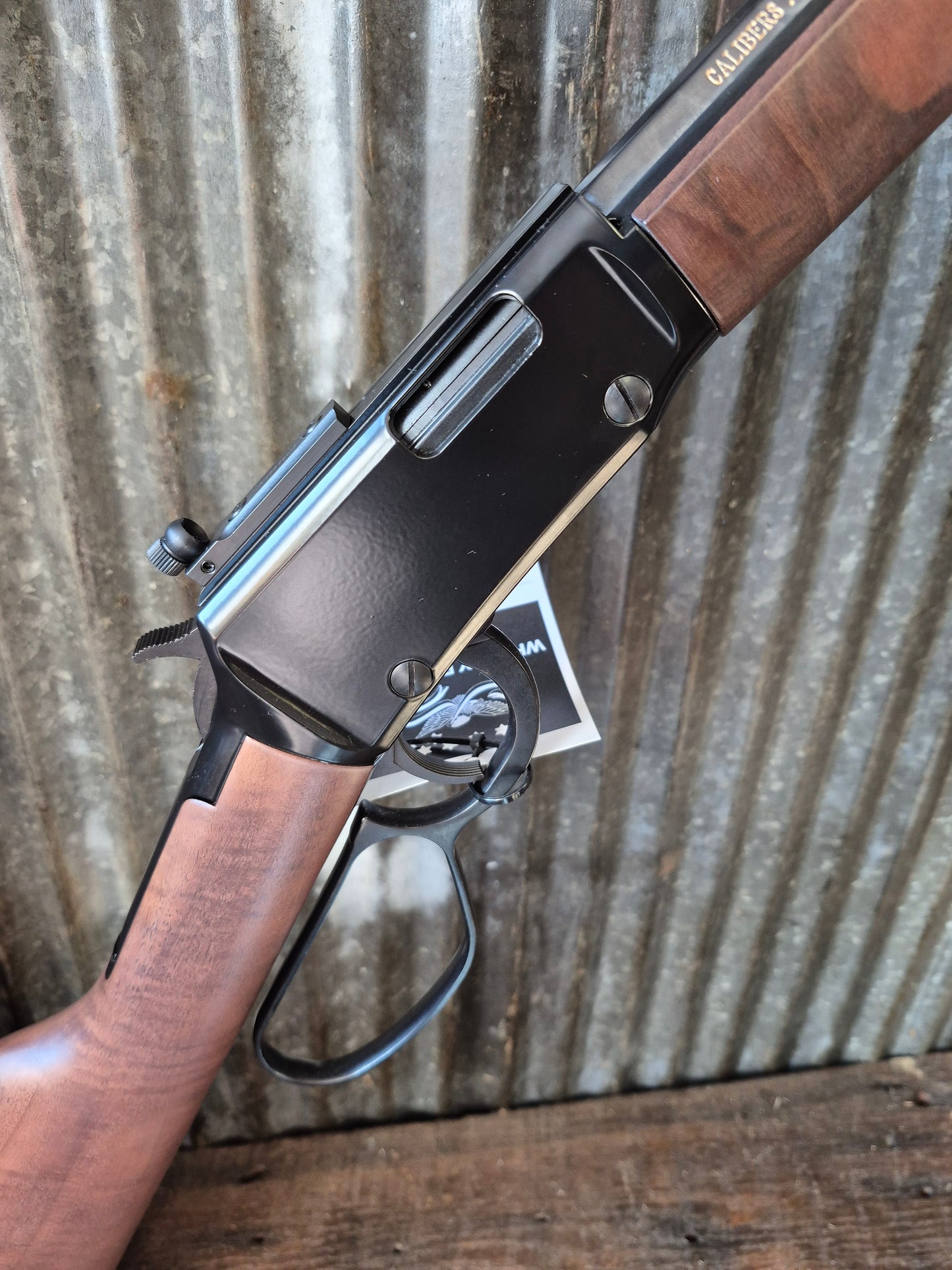 Henry Big Loop 22lr and 12 Ga Single Shot