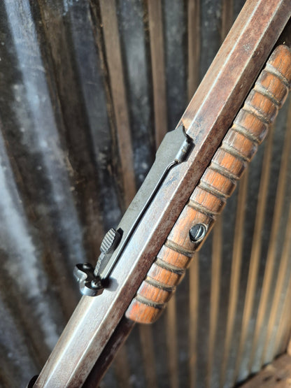 Winchester Model 90 .22 short.