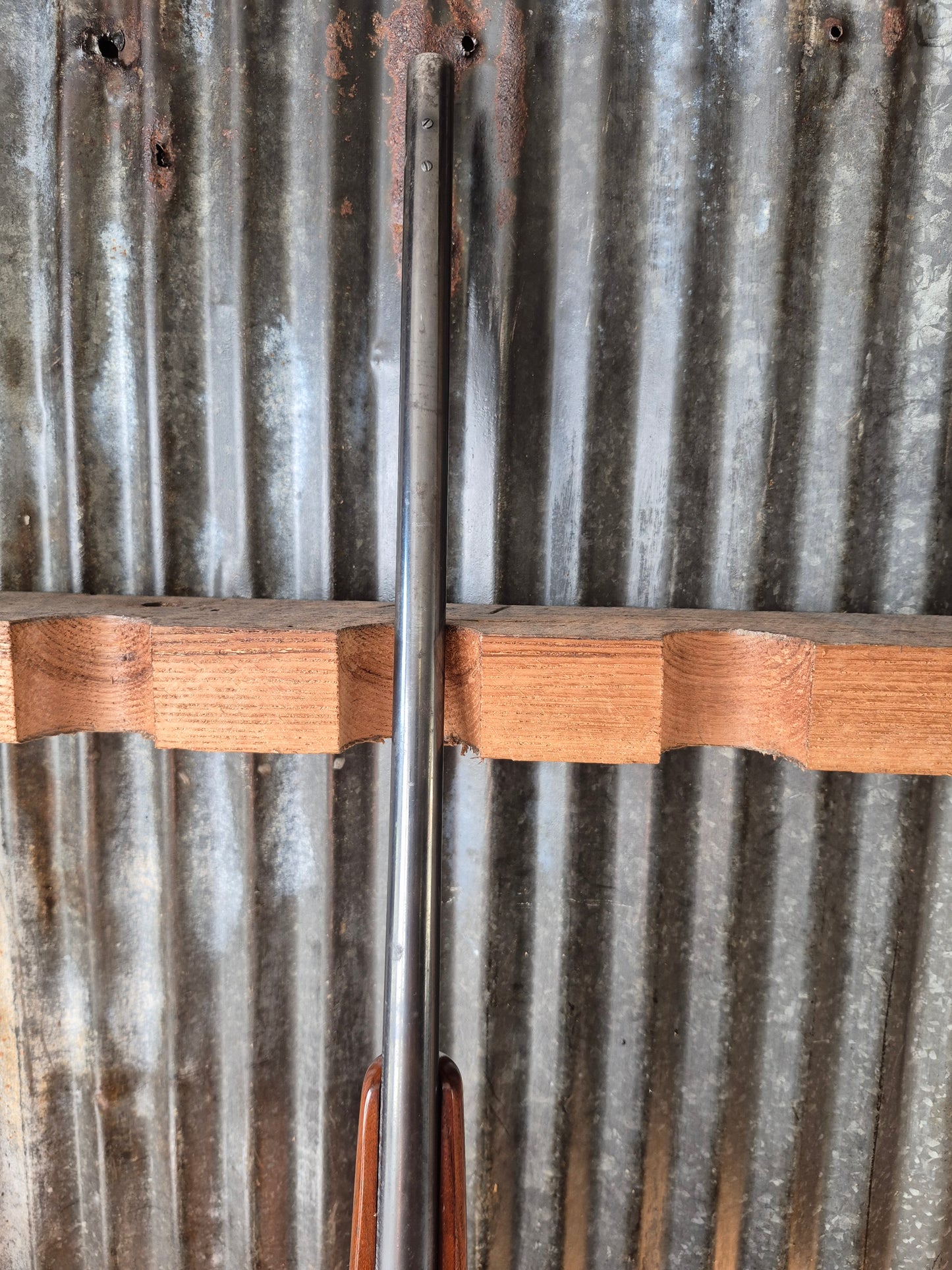 Remington 700adl .22-250