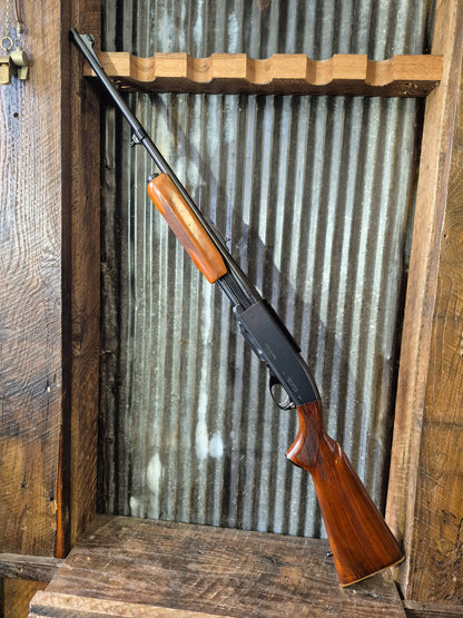 Remington 760 Gamemaster 270 win.