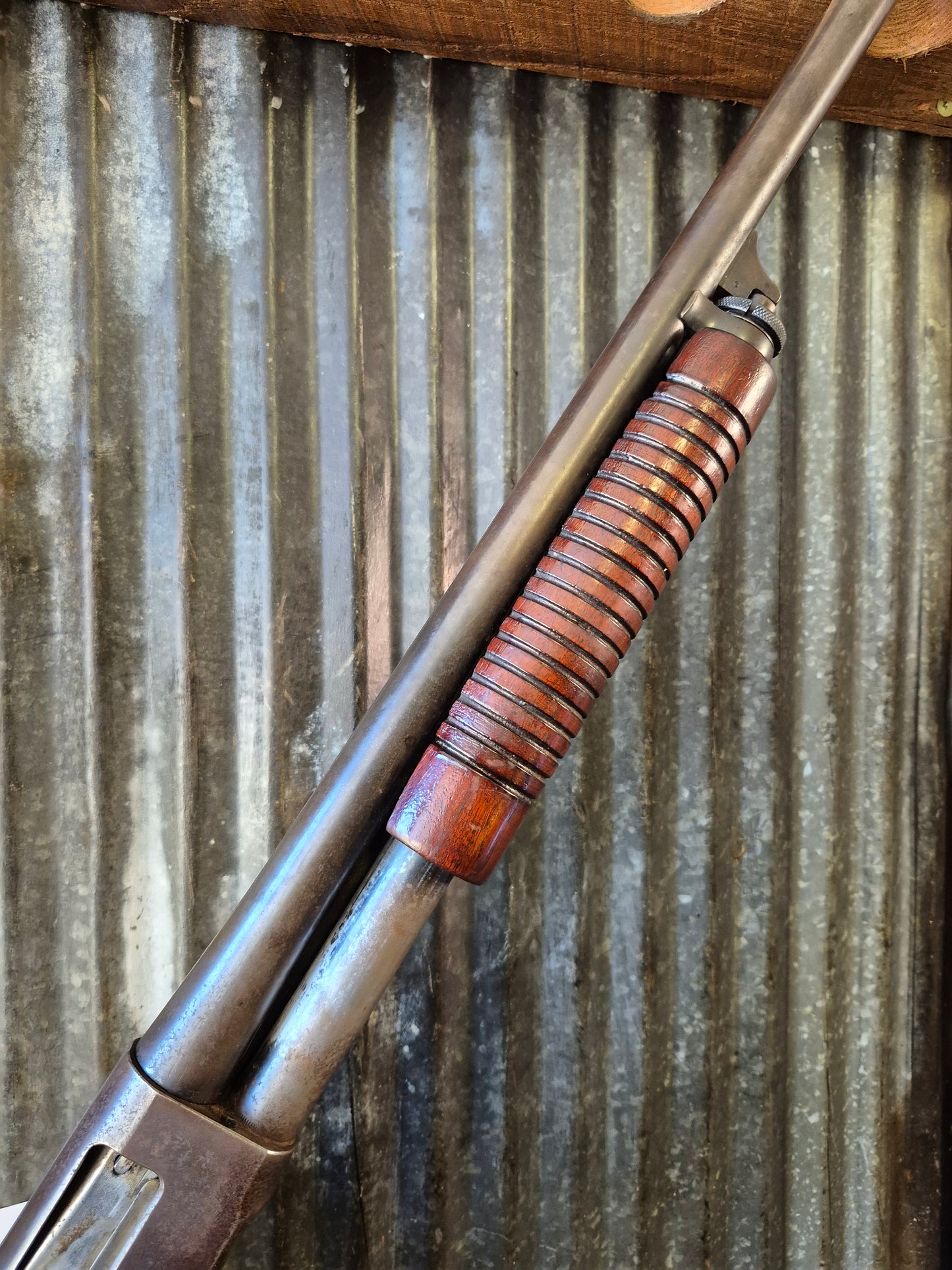 Remington model 31 .16ga