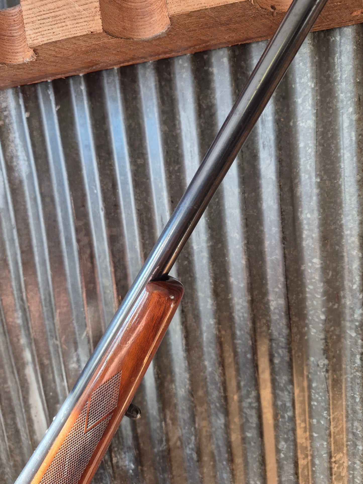 Remington 700adl .22-250