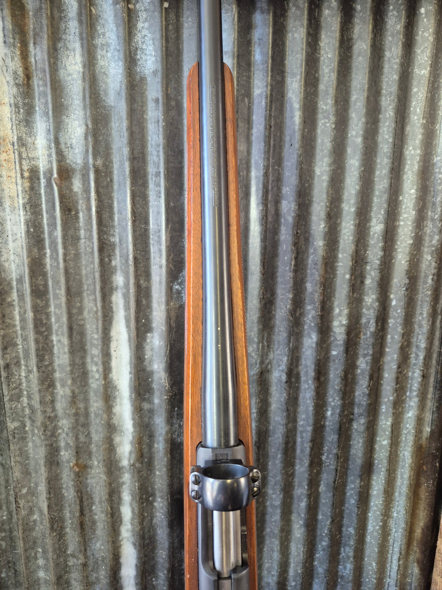Ruger M77/22 .22lr
