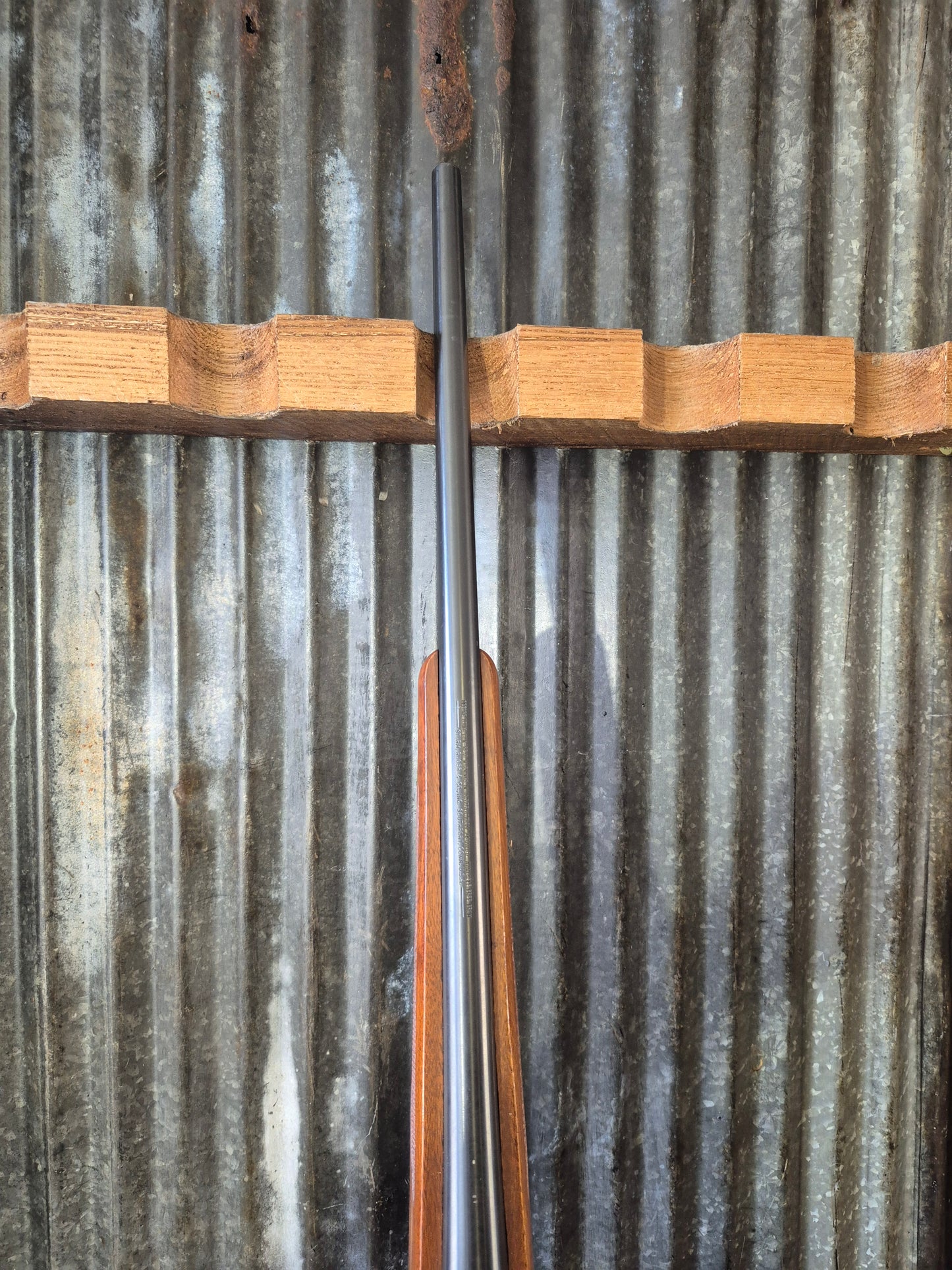 Ruger M77/22 .22lr