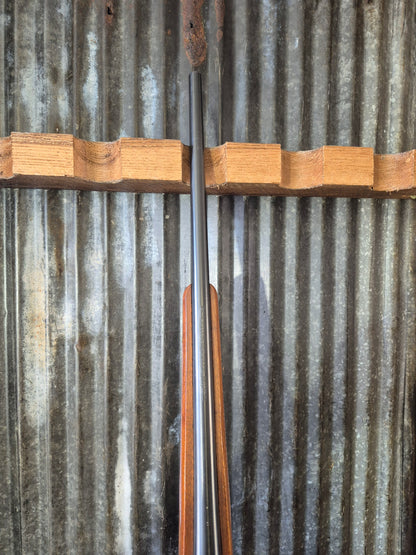 Ruger M77/22 .22lr
