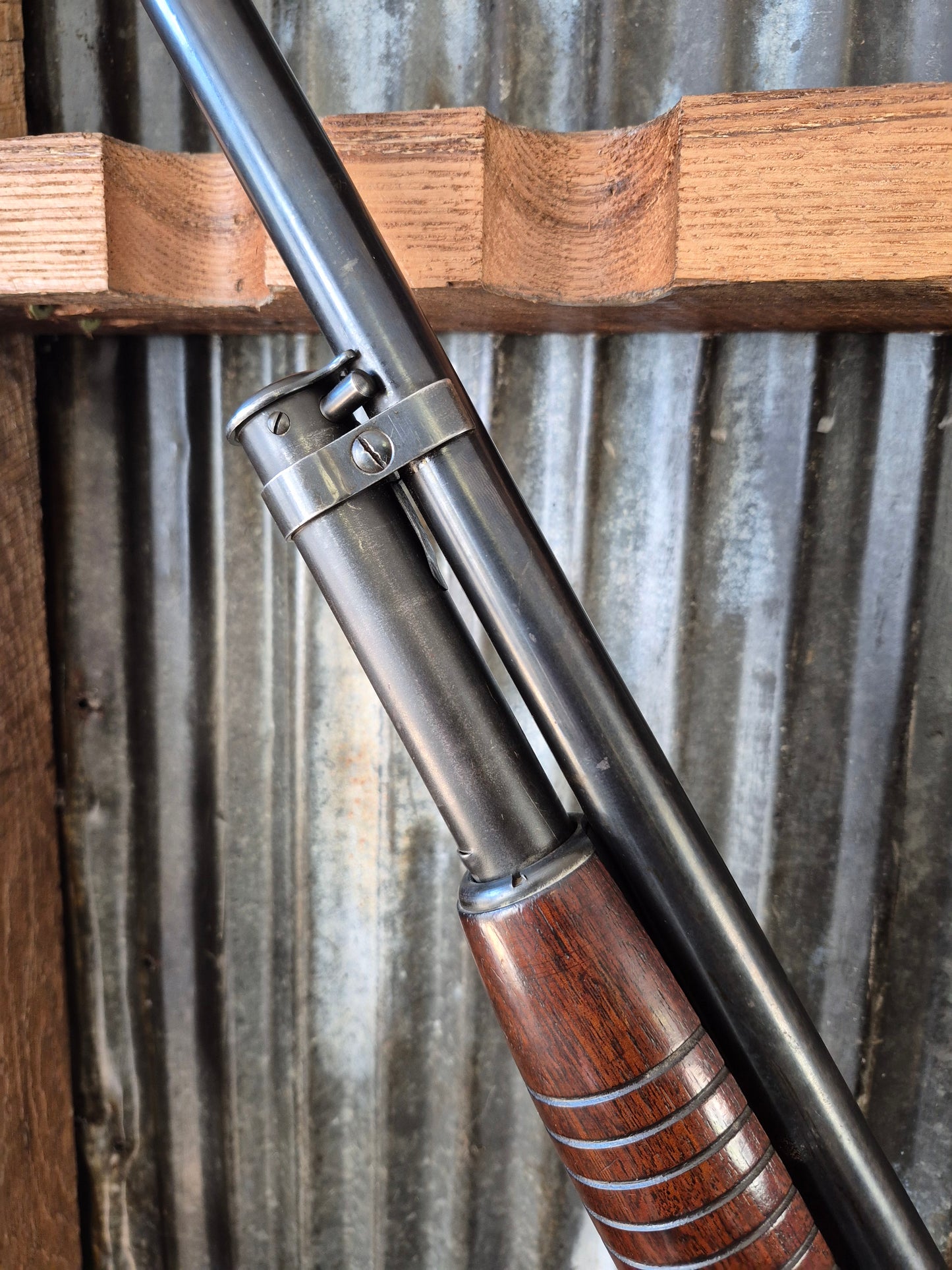 Winchester model 12 Takedown 12ga (1959)