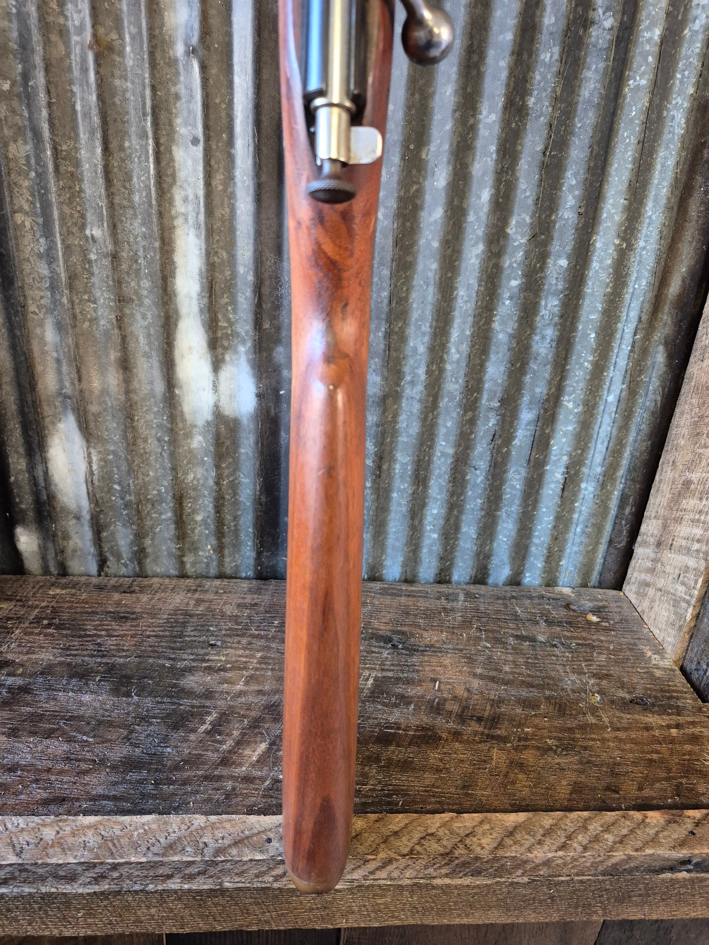 Winchester model 67