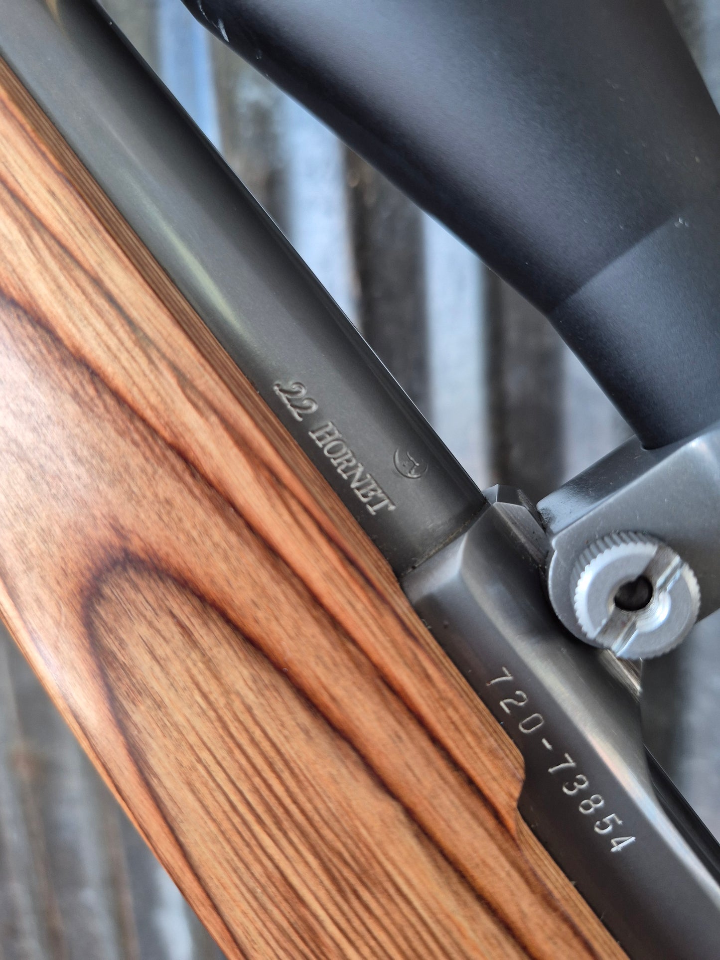 Ruger M77/22 .22 Hornet