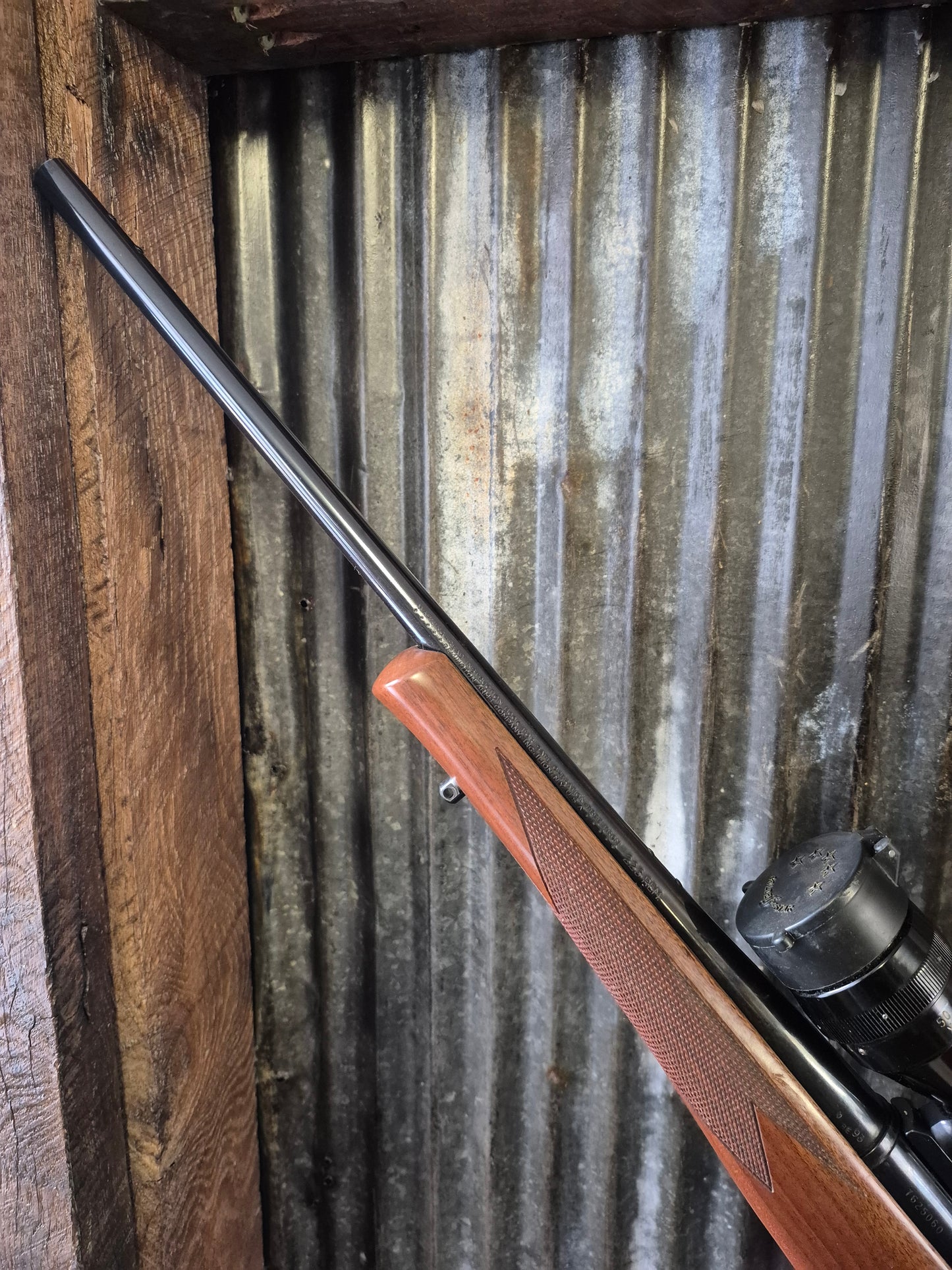 Remington Model Seven .223