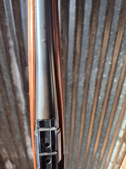 Remington Model 7 .243Win