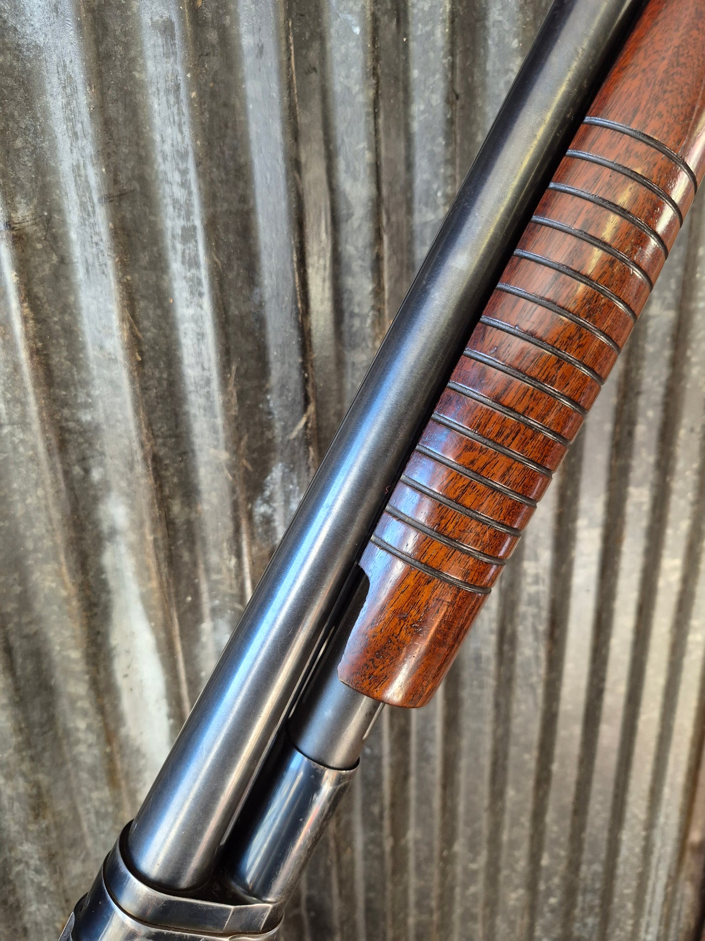Winchester model 12 Takedown 12ga (1959)