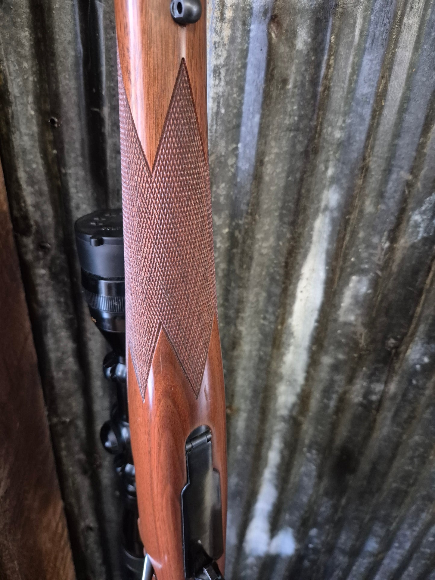 Remington Model Seven .223