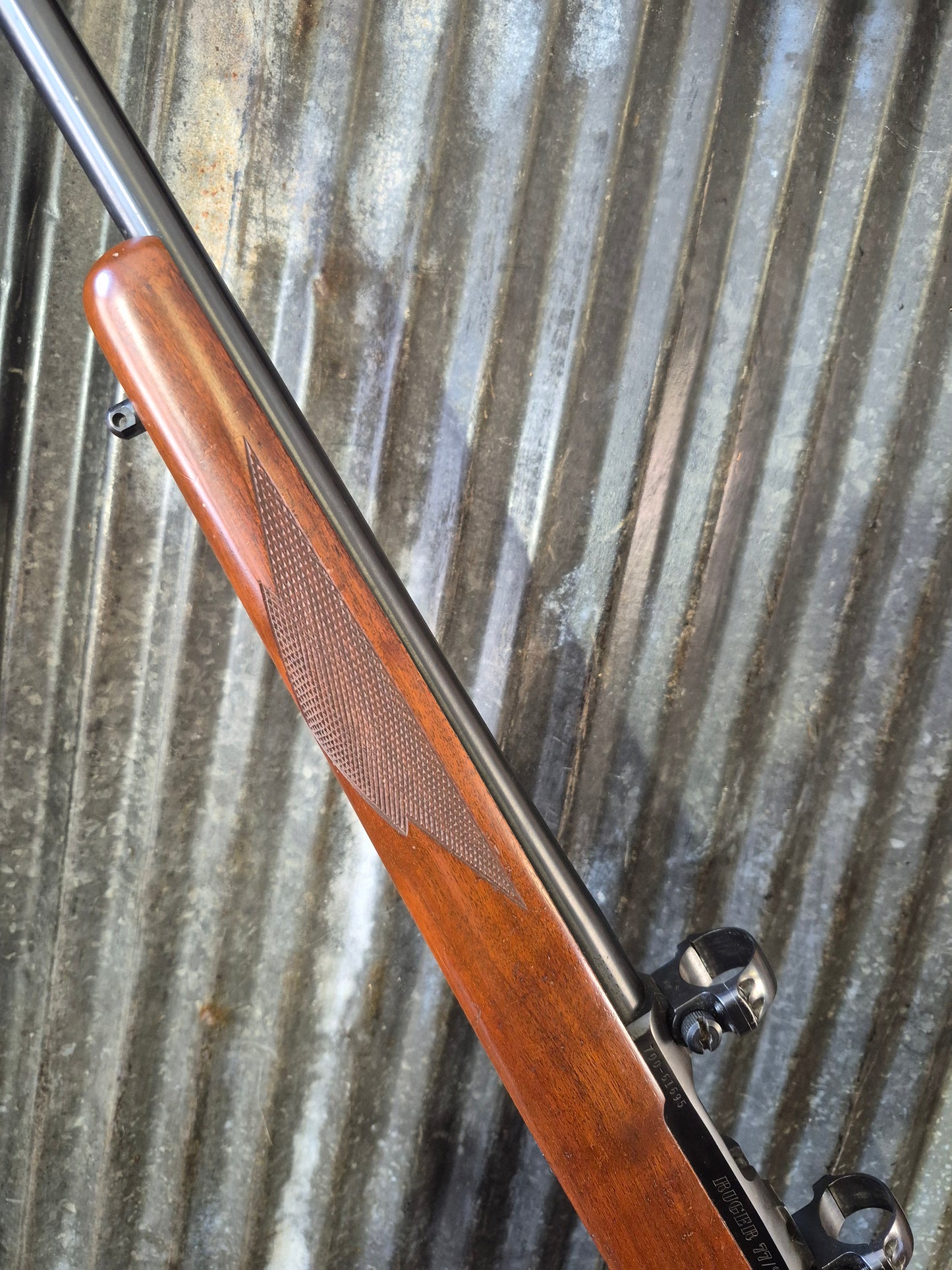 Ruger M77/22 .22lr