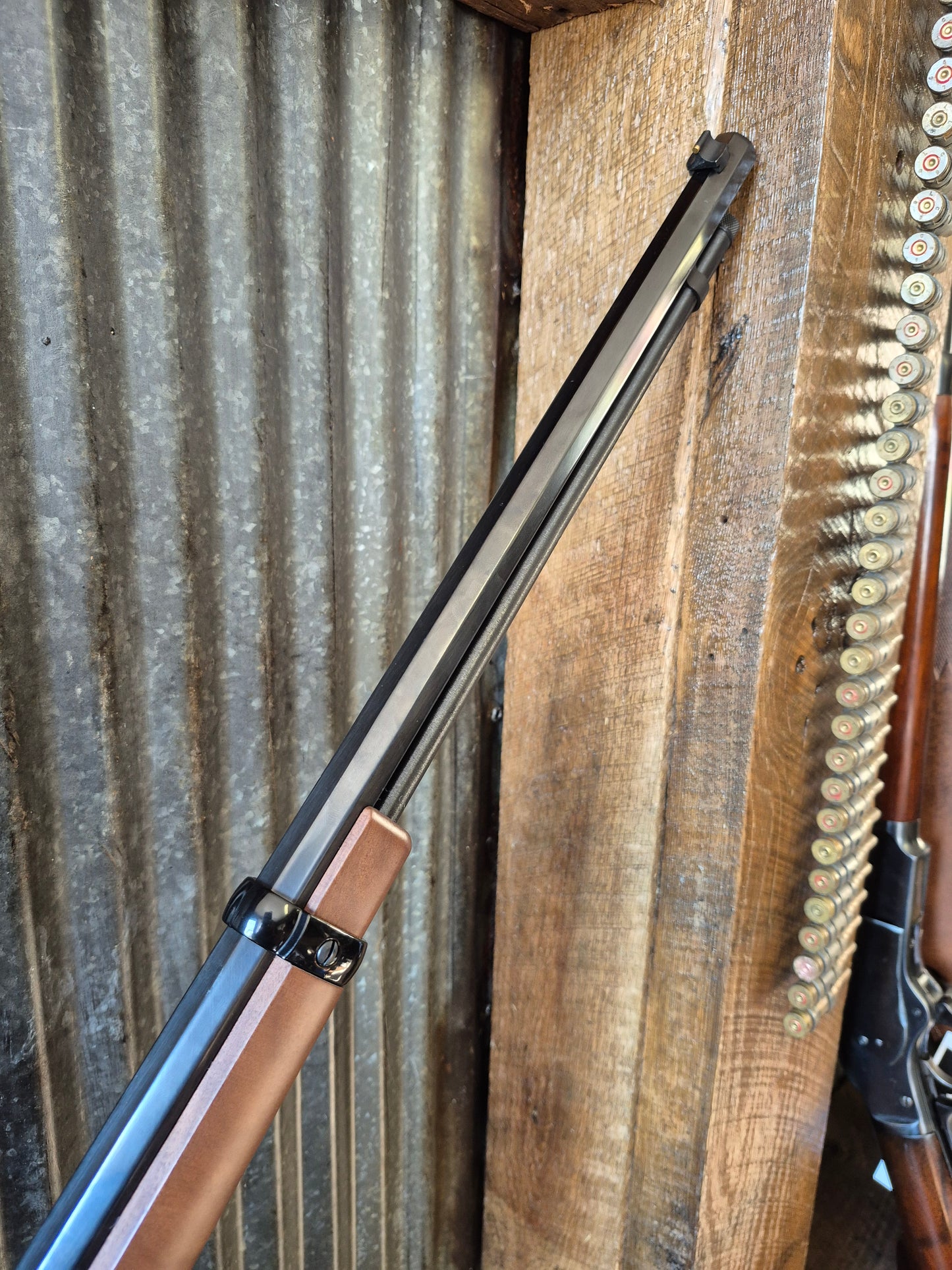 Henry Big Loop 22lr and 12 Ga Single Shot