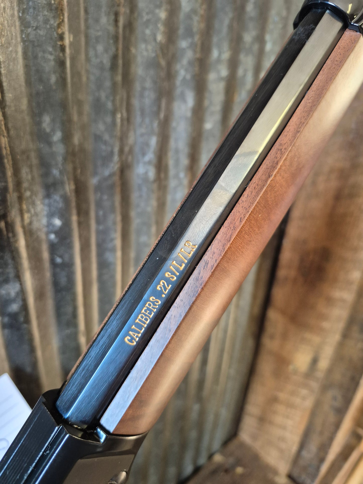 Henry Big Loop 22lr and 12 Ga Single Shot