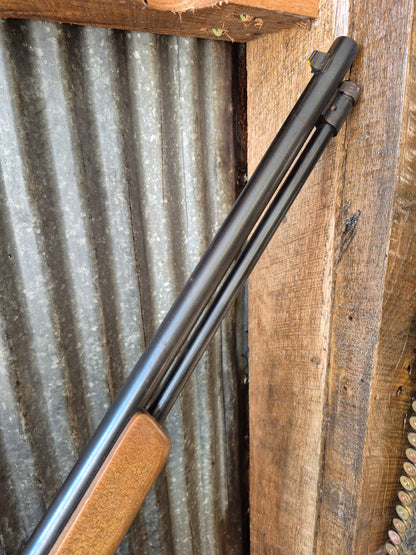 Winchester model 190 .22lr
