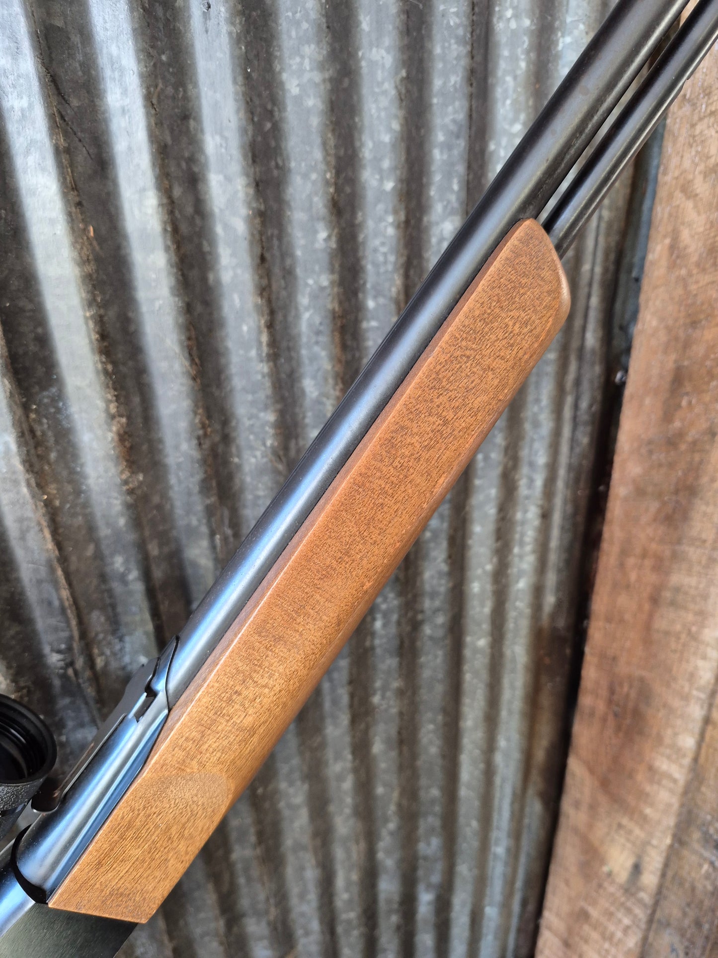 Winchester model 190 .22lr