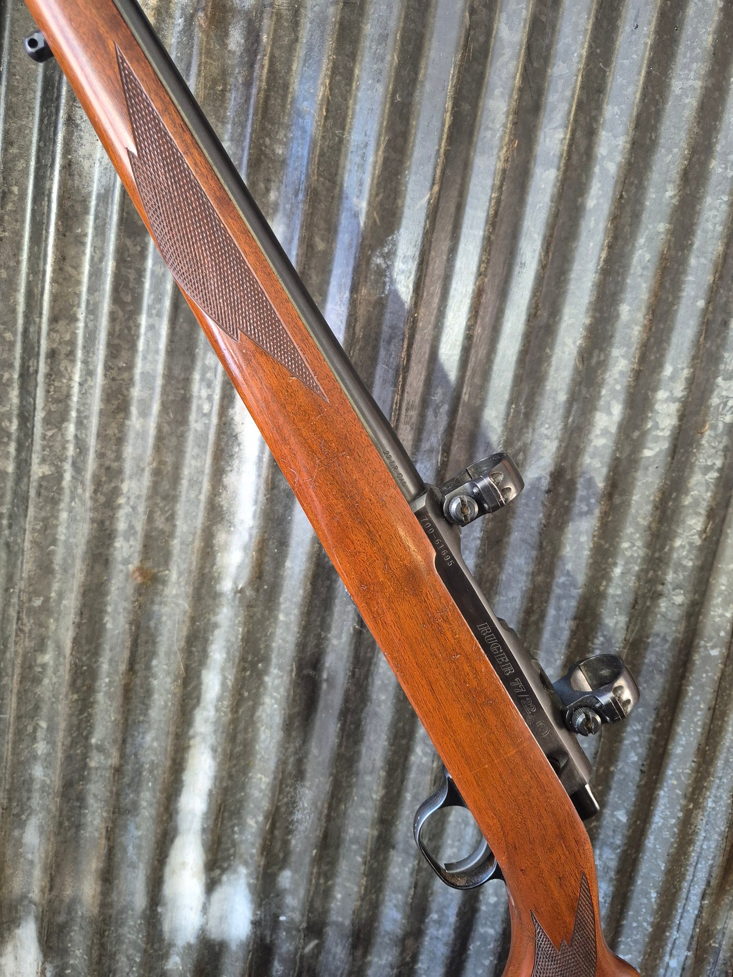 Ruger M77/22 .22lr