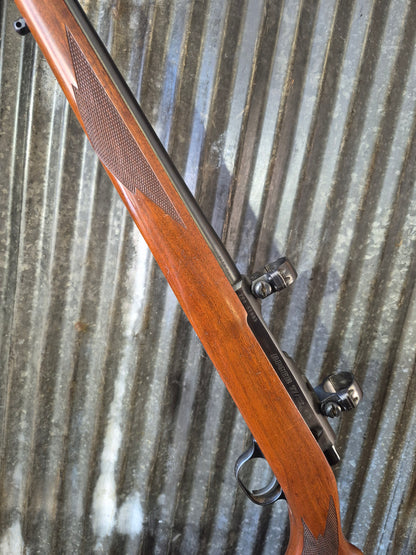 Ruger M77/22 .22lr