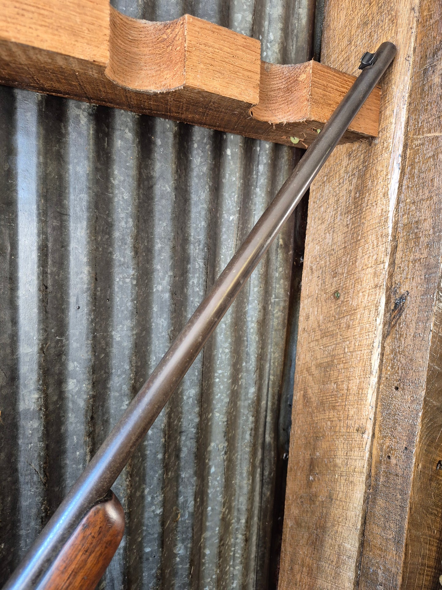 Winchester model 69