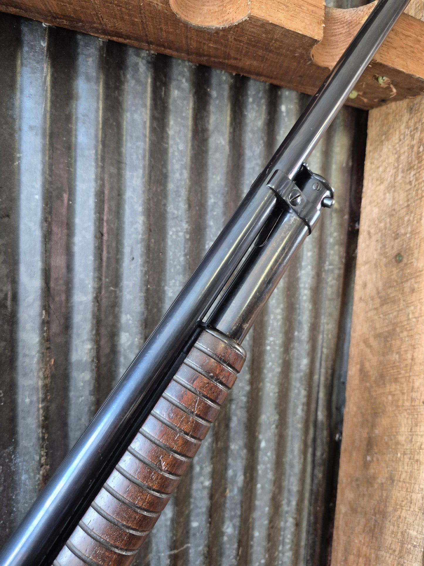 Winchester model 12 20ga