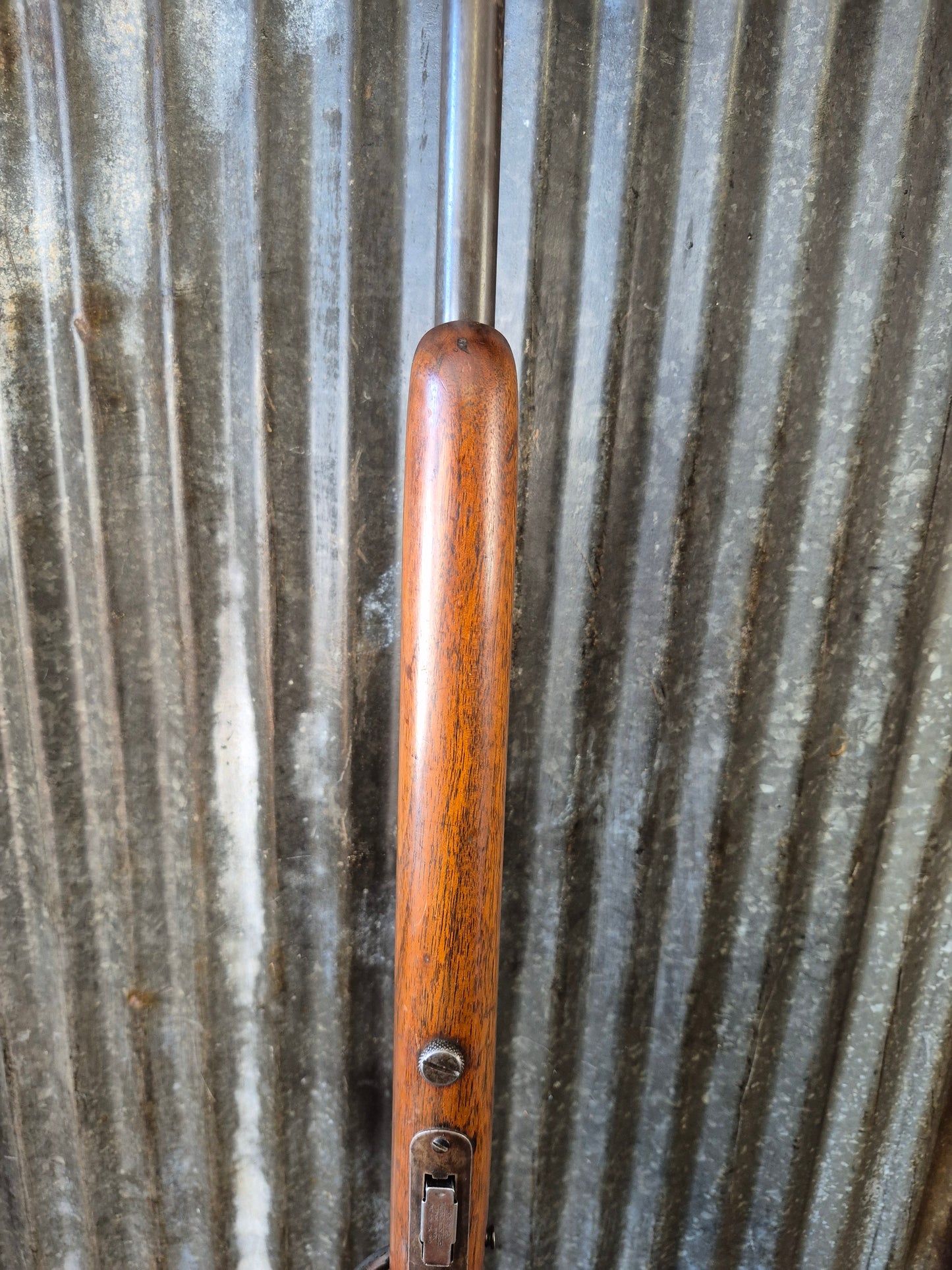 Winchester model 69