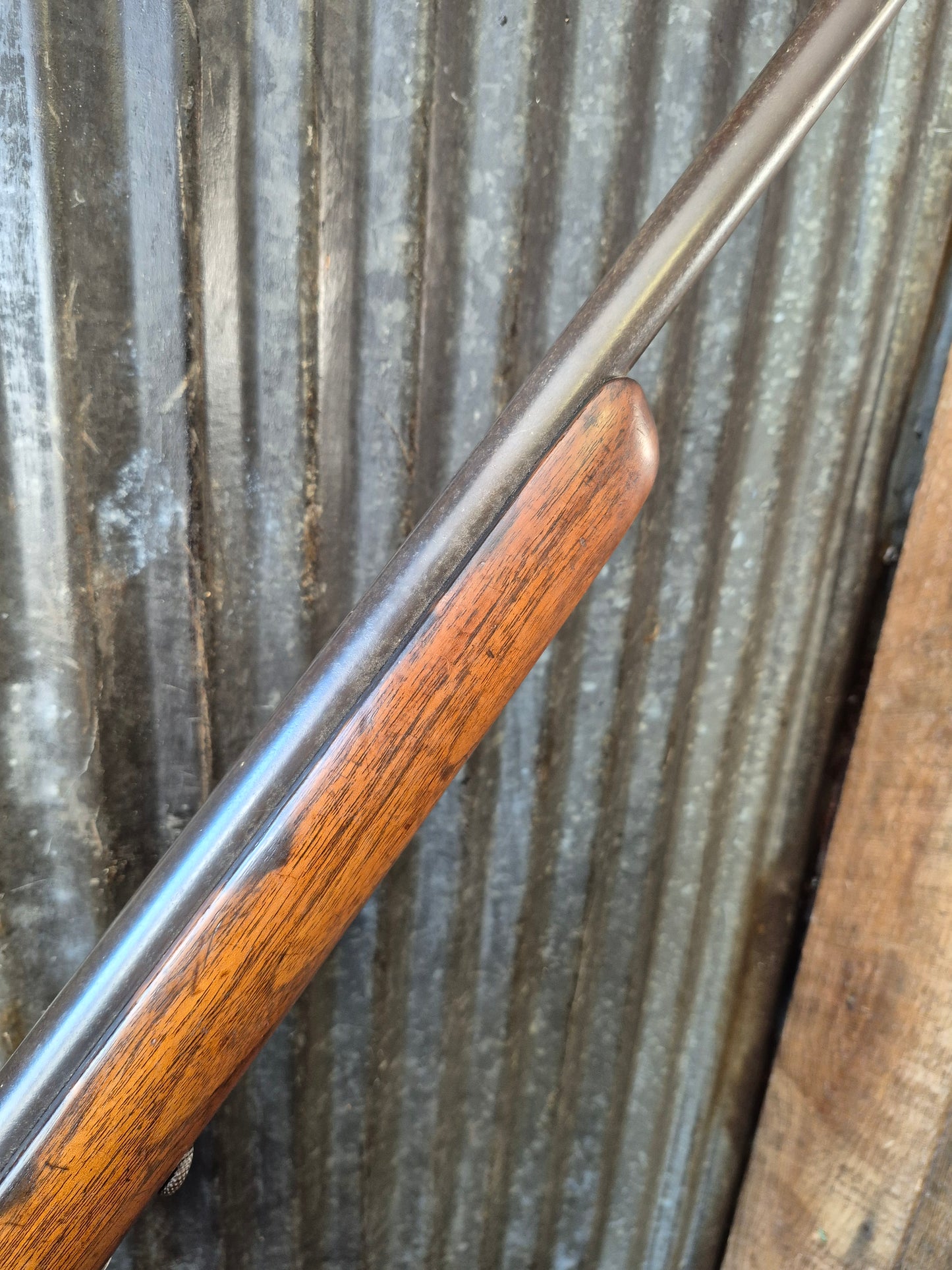 Winchester model 69