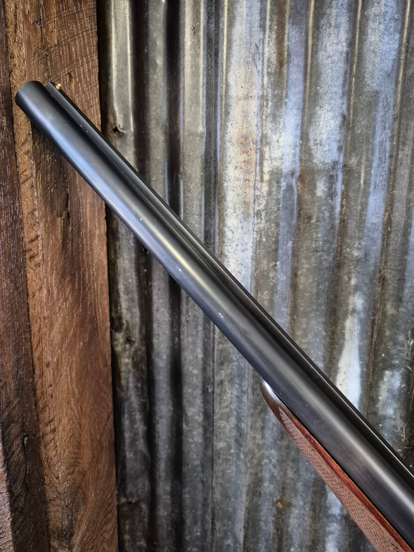 AYA Yeoman 12ga Coach gun